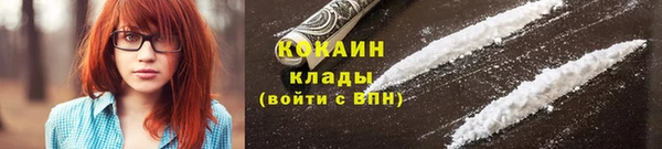 гидропоника Богданович