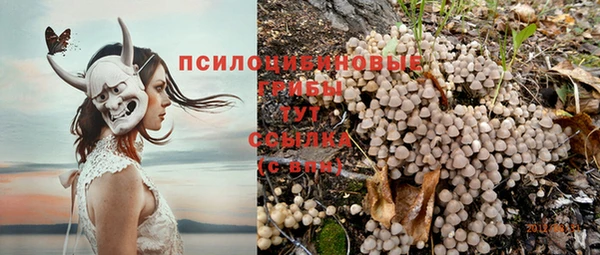 МДПВ Богородицк