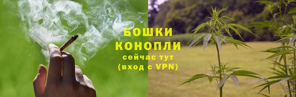 гидропоника Богородск