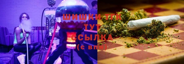 МДПВ Богородицк
